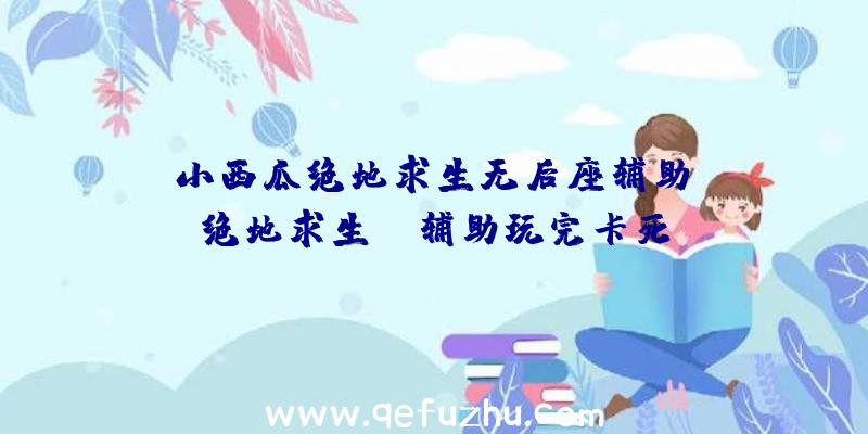 「小西瓜绝地求生无后座辅助」|绝地求生sk辅助玩完卡死